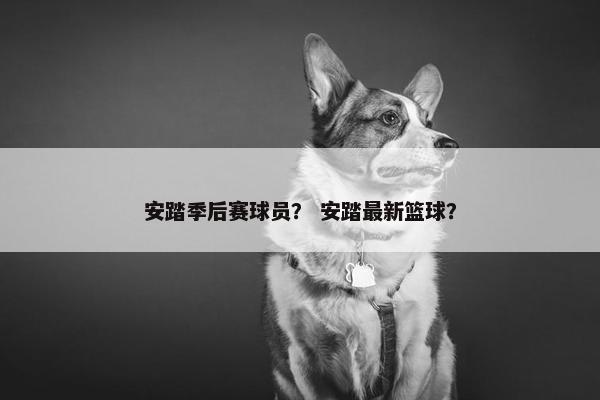 安踏季后赛球员？ 安踏最新篮球？