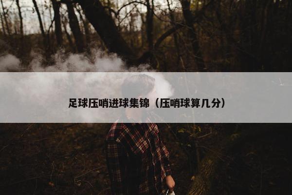 足球压哨进球集锦（压哨球算几分）