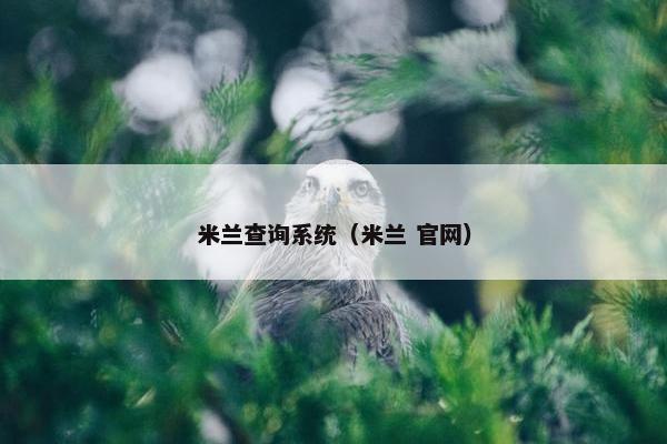 米兰查询系统（米兰 官网）