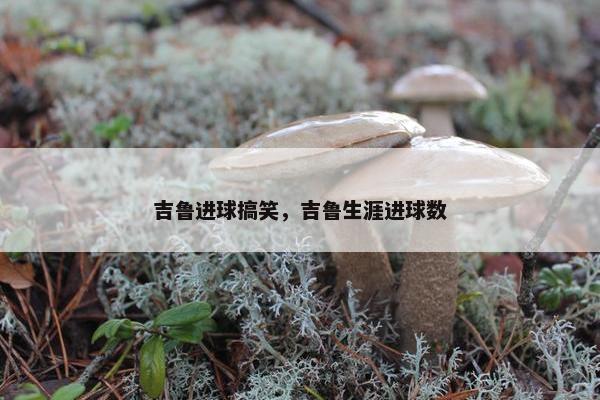 吉鲁进球搞笑，吉鲁生涯进球数