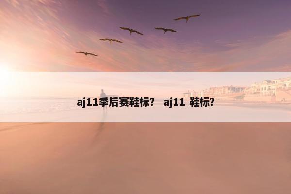 aj11季后赛鞋标？ aj11 鞋标？