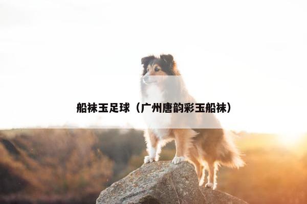 船袜玉足球（广州唐韵彩玉船袜）