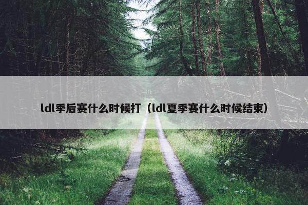 ldl季后赛什么时候打（ldl夏季赛什么时候结束）
