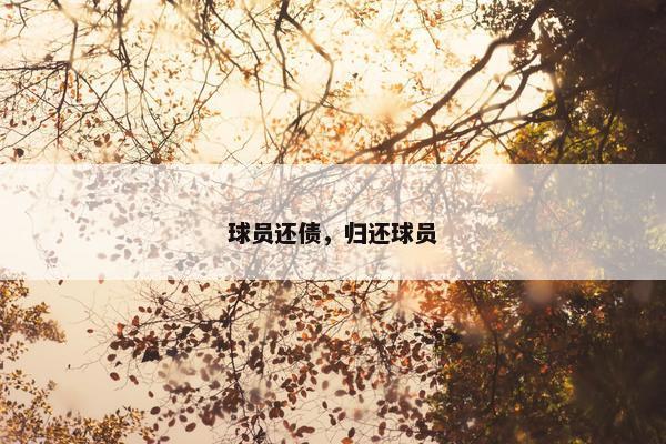 球员还债，归还球员