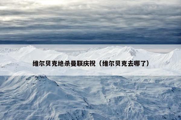 维尔贝克绝杀曼联庆祝（维尔贝克去哪了）