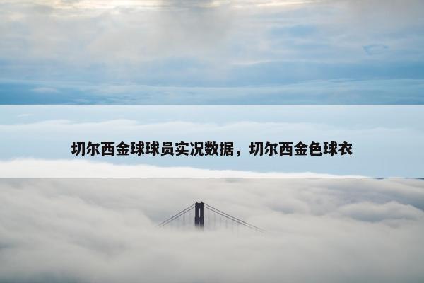 切尔西金球球员实况数据，切尔西金色球衣