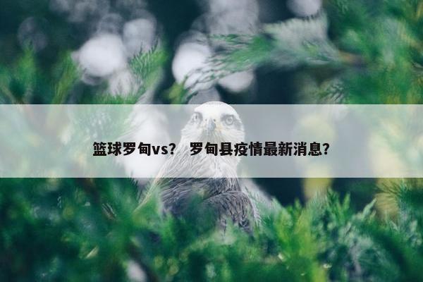 篮球罗甸vs？ 罗甸县疫情最新消息？