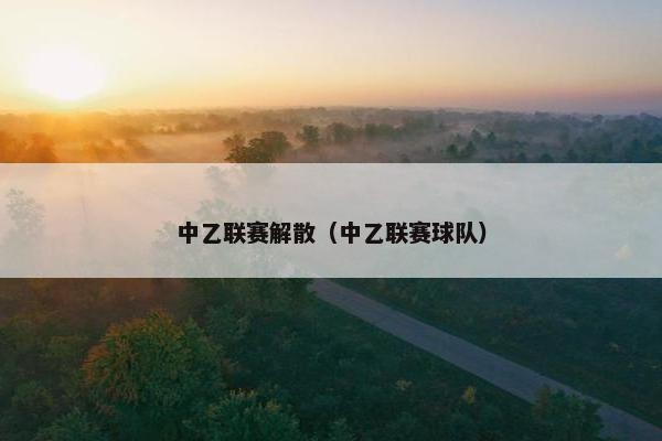 中乙联赛解散（中乙联赛球队）