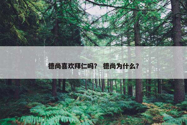 德尚喜欢拜仁吗？ 德尚为什么？