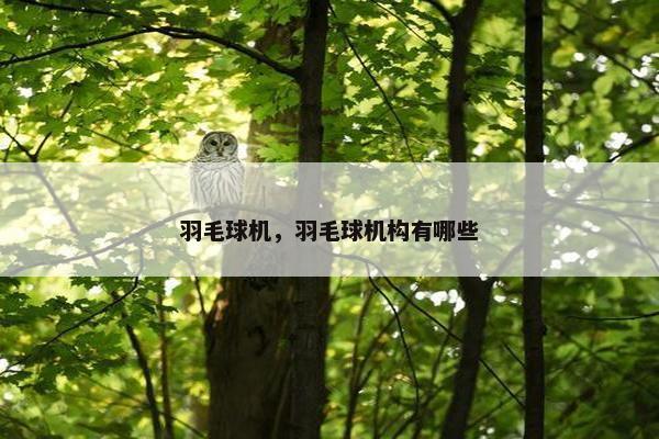 羽毛球机，羽毛球机构有哪些