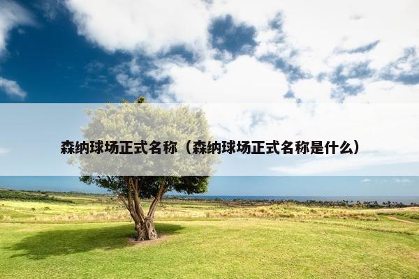 森纳球场正式名称（森纳球场正式名称是什么）