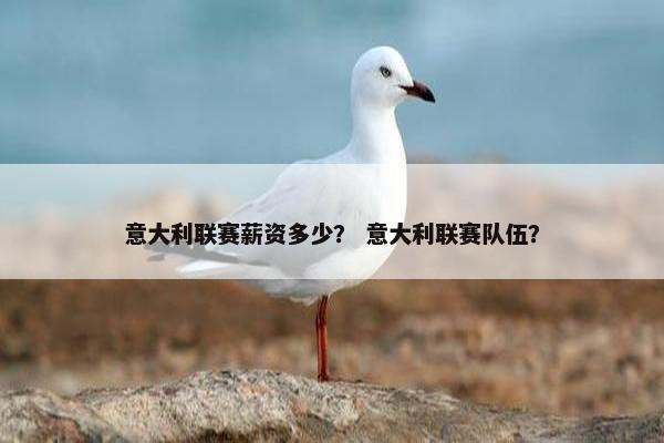 意大利联赛薪资多少？ 意大利联赛队伍？