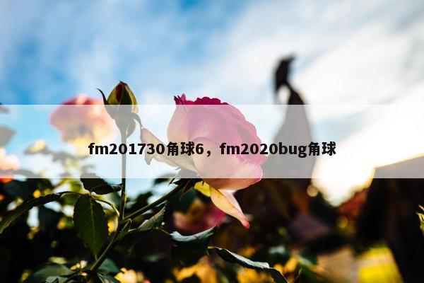fm201730角球6，fm2020bug角球