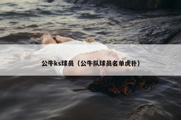 公牛ks球员（公牛队球员名单虎扑）