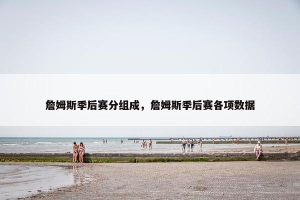 詹姆斯季后赛分组成，詹姆斯季后赛各项数据
