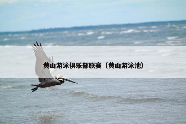 黄山游泳俱乐部联赛（黄山游泳池）