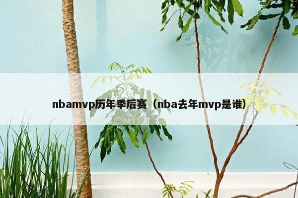 nbamvp历年季后赛（nba去年mvp是谁）