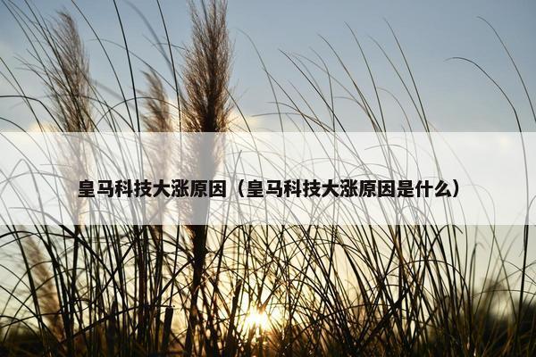 皇马科技大涨原因（皇马科技大涨原因是什么）