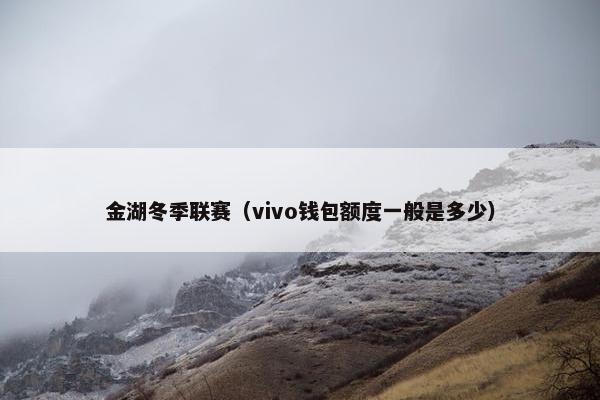 金湖冬季联赛（vivo钱包额度一般是多少）