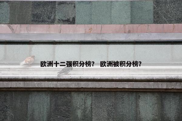 欧洲十二强积分榜？ 欧洲被积分榜？