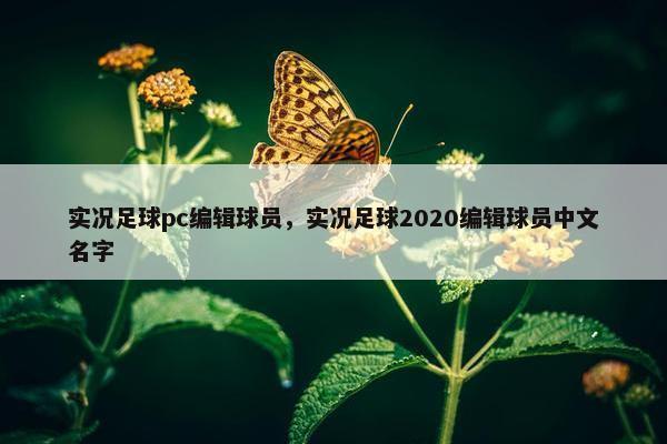 实况足球pc编辑球员，实况足球2020编辑球员中文名字