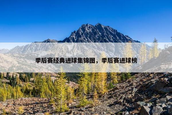 季后赛经典进球集锦图，季后赛进球榜