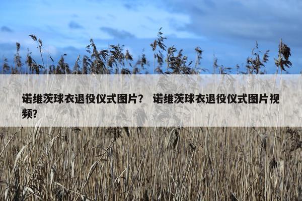 诺维茨球衣退役仪式图片？ 诺维茨球衣退役仪式图片视频？