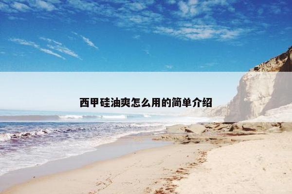 西甲硅油爽怎么用的简单介绍