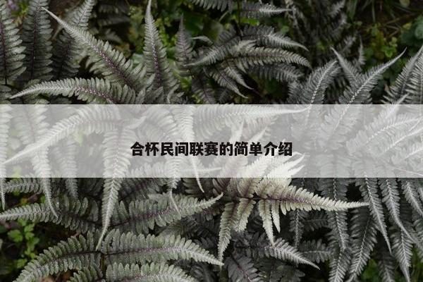 合杯民间联赛的简单介绍