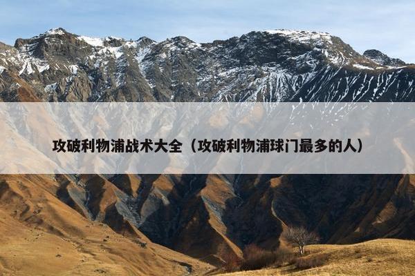 攻破利物浦战术大全（攻破利物浦球门最多的人）