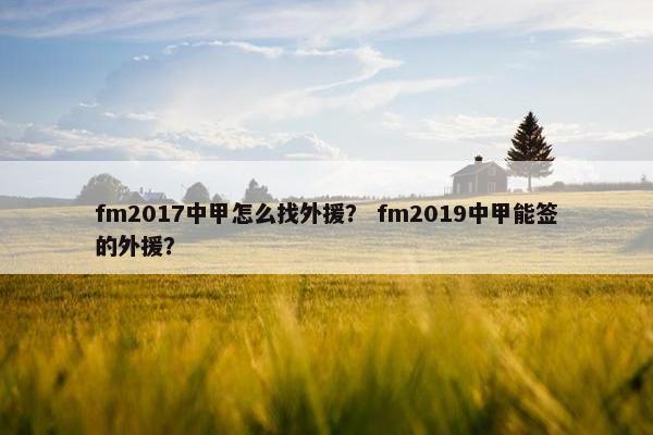 fm2017中甲怎么找外援？ fm2019中甲能签的外援？