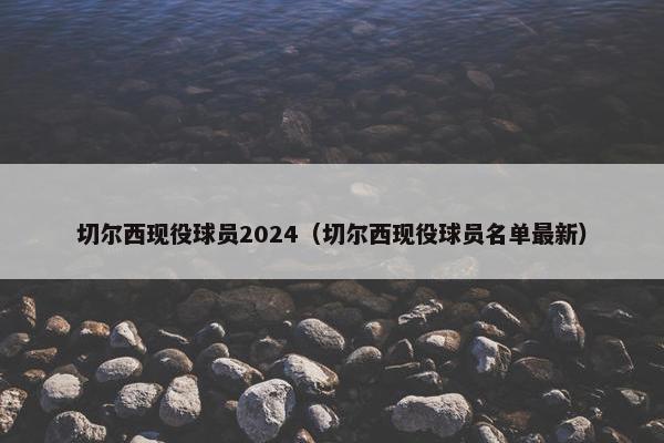 切尔西现役球员2024（切尔西现役球员名单最新）