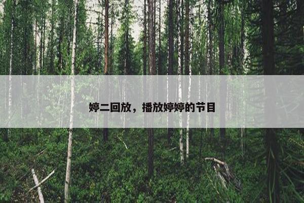 婷二回放，播放婷婷的节目