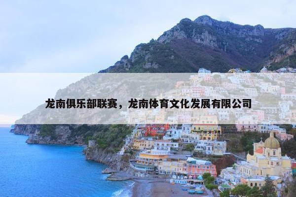 龙南俱乐部联赛，龙南体育文化发展有限公司