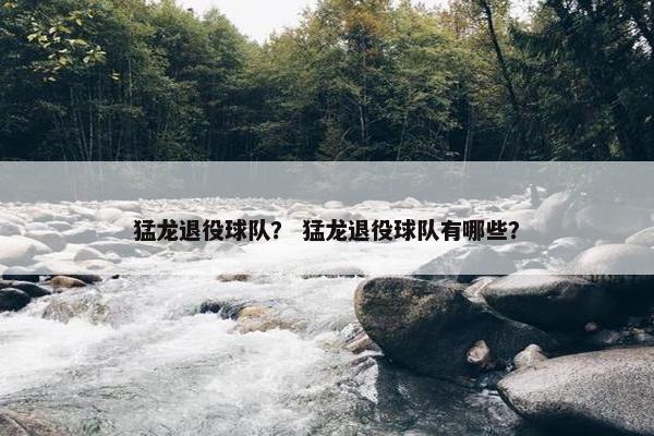 猛龙退役球队？ 猛龙退役球队有哪些？