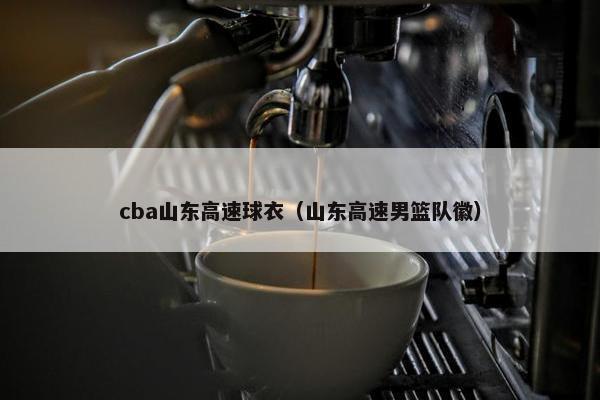 cba山东高速球衣（山东高速男篮队徽）