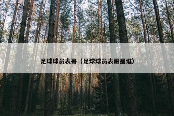 足球球员表哥（足球球员表哥是谁）