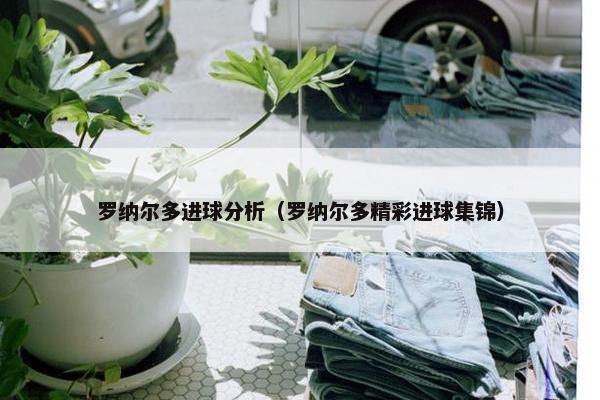 罗纳尔多进球分析（罗纳尔多精彩进球集锦）