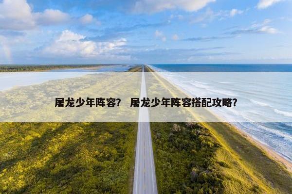屠龙少年阵容? 屠龙少年阵容搭配攻略? 屠龙少年阵容? 屠龙少年阵容搭配攻略?
