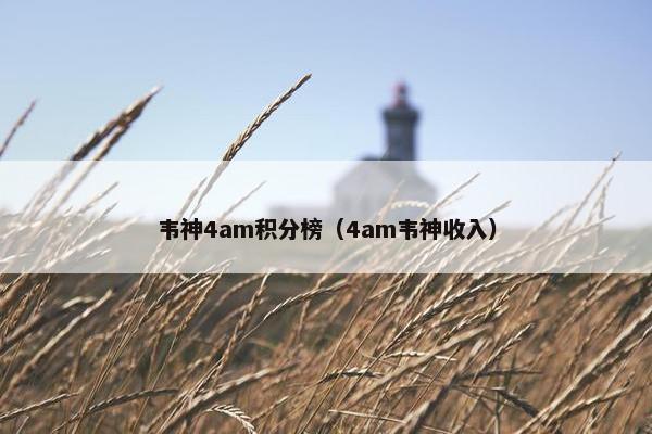 韦神4am积分榜（4am韦神收入）