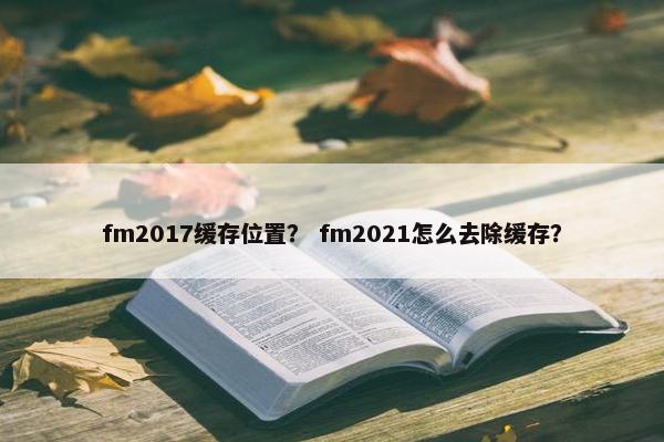 fm2017缓存位置？ fm2021怎么去除缓存？