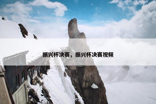 振兴杯决赛，振兴杯决赛视频