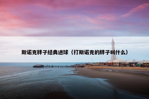 斯诺克胖子经典进球（打斯诺克的胖子叫什么）