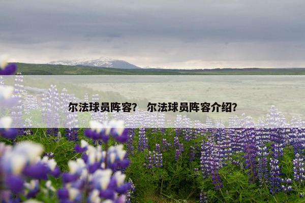 尔法球员阵容？ 尔法球员阵容介绍？