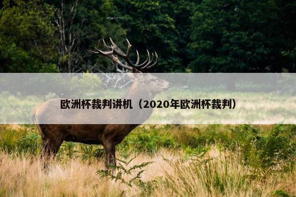 欧洲杯裁判讲机（2020年欧洲杯裁判）
