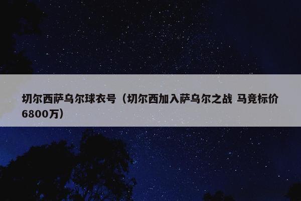 切尔西萨乌尔球衣号（切尔西加入萨乌尔之战 马竞标价6800万）