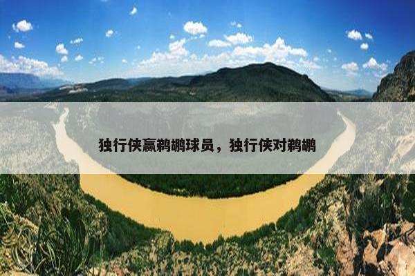 独行侠赢鹈鹕球员，独行侠对鹈鹕