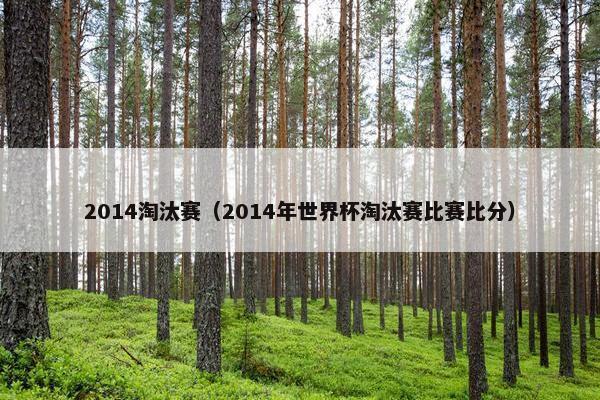 2014淘汰赛（2014年世界杯淘汰赛比赛比分）