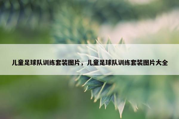 儿童足球队训练套装图片，儿童足球队训练套装图片大全