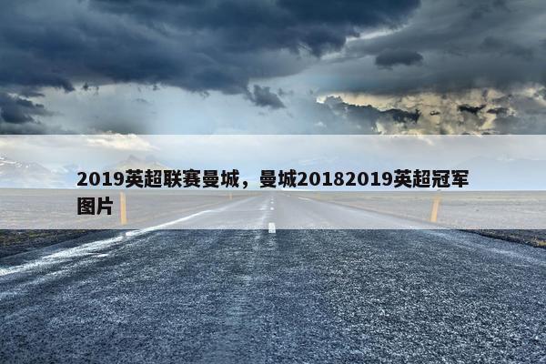 2019英超联赛曼城，曼城20182019英超冠军图片